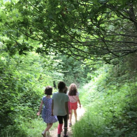 Kids walking in Pine Forest